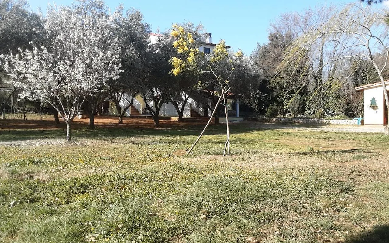Apartments Nena 3* Liznjan