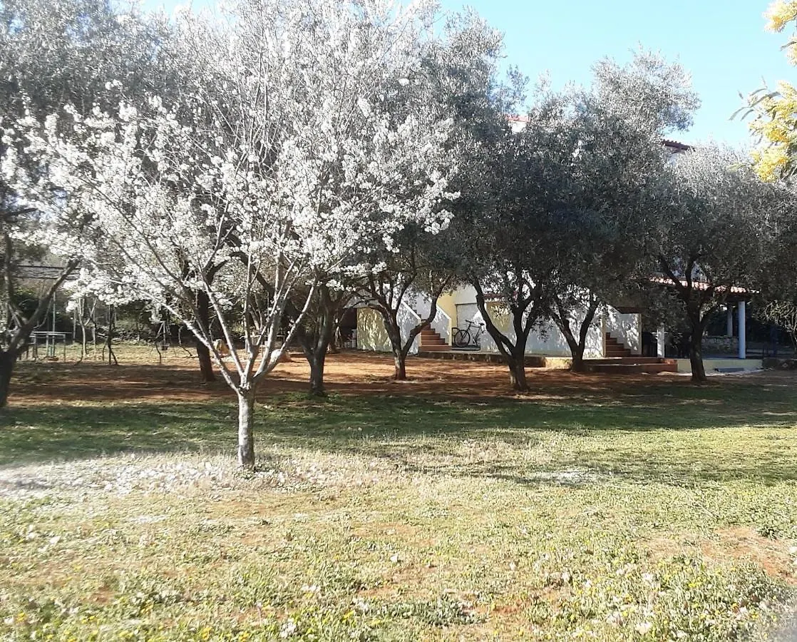 Apartments Nena 3* Liznjan